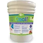 Cool Decking Pool Deck Paint For Coating - Waterproof Concrete Paint that Repairs, Seals, and Cools Your Surfaces - Covers 150 Square Feet