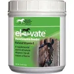 Kentucky Performance Prod 044097 Elevate Maintenance Powder Supplement for Horses, 2 lb