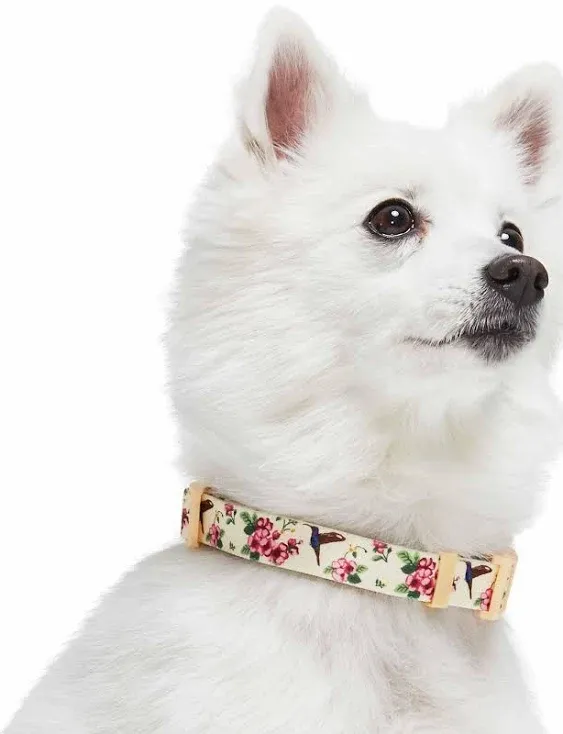 Petal Paws Floral Flower and Hummingbird Dog Collar