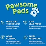 Puppy Pads Pet Pee Pads for Dogs &amp; Puppy Training [100 22” X 22” (100-Count)