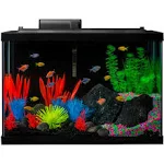 GloFish 20 Gallon Aquarium Kit