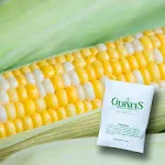 Gurney's 0.50 lb. Sweet Corn Gotta Have It Hybrid (Seed Packet)