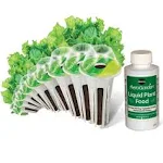 Aerogarden Salad Greens Seed Pod Kit with Red, Green, Romaine And Butter Leaf Lettuce, Liquid Plant Food And Growing Guide