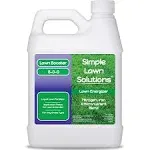 Commercial Grade Lawn Energizer Iron Nitrogen Micronutrient Booster - Liquid ...