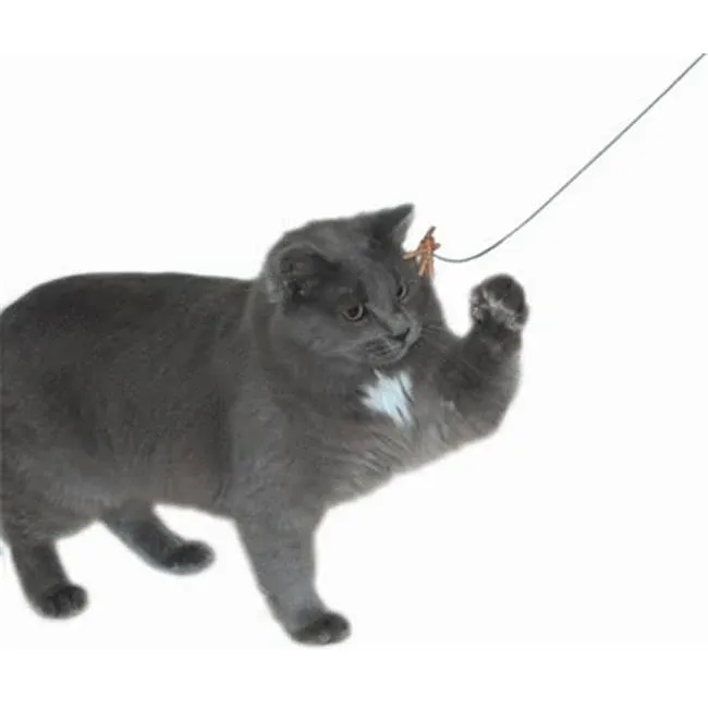 Cat Dancer Cat Toy