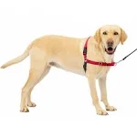 PetSafe Large Red Easy Walk Dog Harness