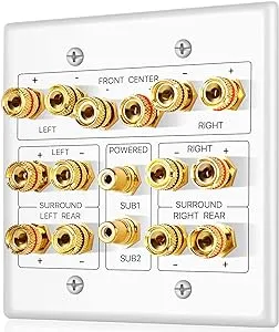 TNP Subwoofer and Speaker Wall Plate - 7.2 Surround Sound, Wall Speaker Connection Audio Wall Plate for AV RCA Connectors and Home Theater Banana Plu