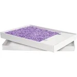 PetSafe ScoopFree Complete Replacement Crystal Cat Litter Trays