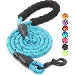 5FT Dog Leash with Comfortable Padded Handlefor Small Medium and Large Dogs