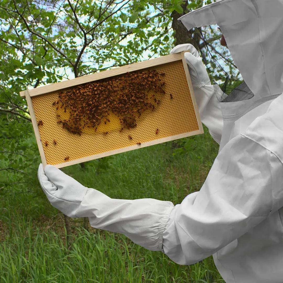 Honey Keeper Beekeeping Gloves, Small - Goatskin Leather with Canvas Sleeve and Elastic Cuff