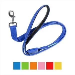 Illumiseen LED USB Rechargeable Dog Leash, Blue, 4-ft