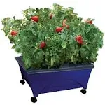 Emsco Group City Picker Raised Bed Grow Box