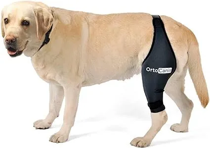 Ortocanis Dog Knee Brace for Torn Acl Hind Leg, Cruciate Ligament Injuries, Patella Dislocation or Osteoarthritis - Dog Acl Knee Brace - Dog Braces for Back Leg for Support (Large, Right Leg)