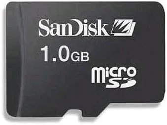 SanDisk 1GB microSD Memory Card w/Adapter