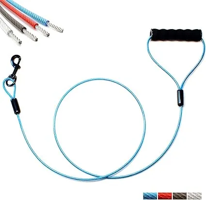 BAAPET 5 Feet Chew Proof Dog Leash with Coated Steel Cable and Soft Padded Handle Dog Leashes for Small, Medium and Large Dogs (Blue)