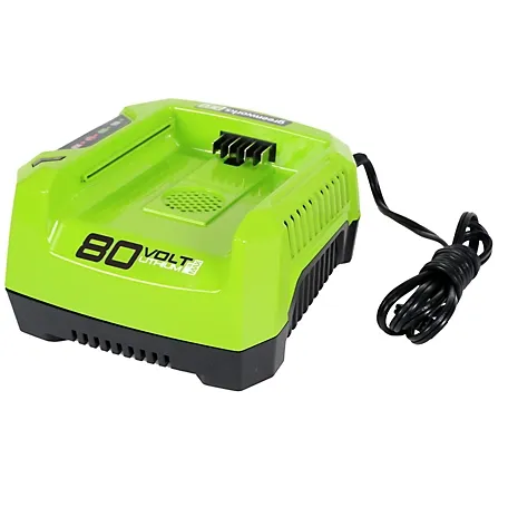 Greenworks 80V Rapid Battery Charger