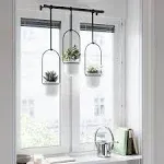 Umbra Triflora Hanging Planter for Window, Indoor Herb Garden, White/Black, T...