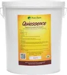 Quiessence 14 lbs