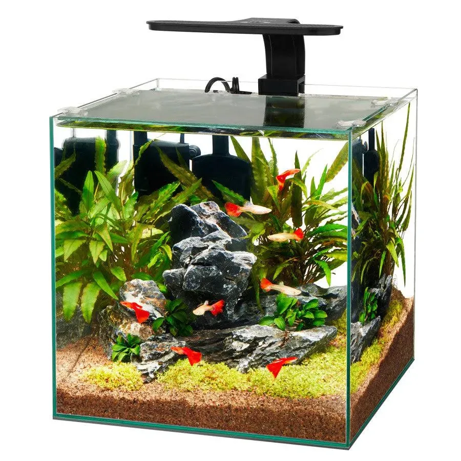 Aqueon Frameless Cube Aquarium 1 Each/6 by Aqueon