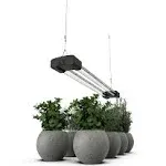 DYMOND BoostGro LED Grow Light Full Spectrum Linkable 5000K Daylight + 660nm ...