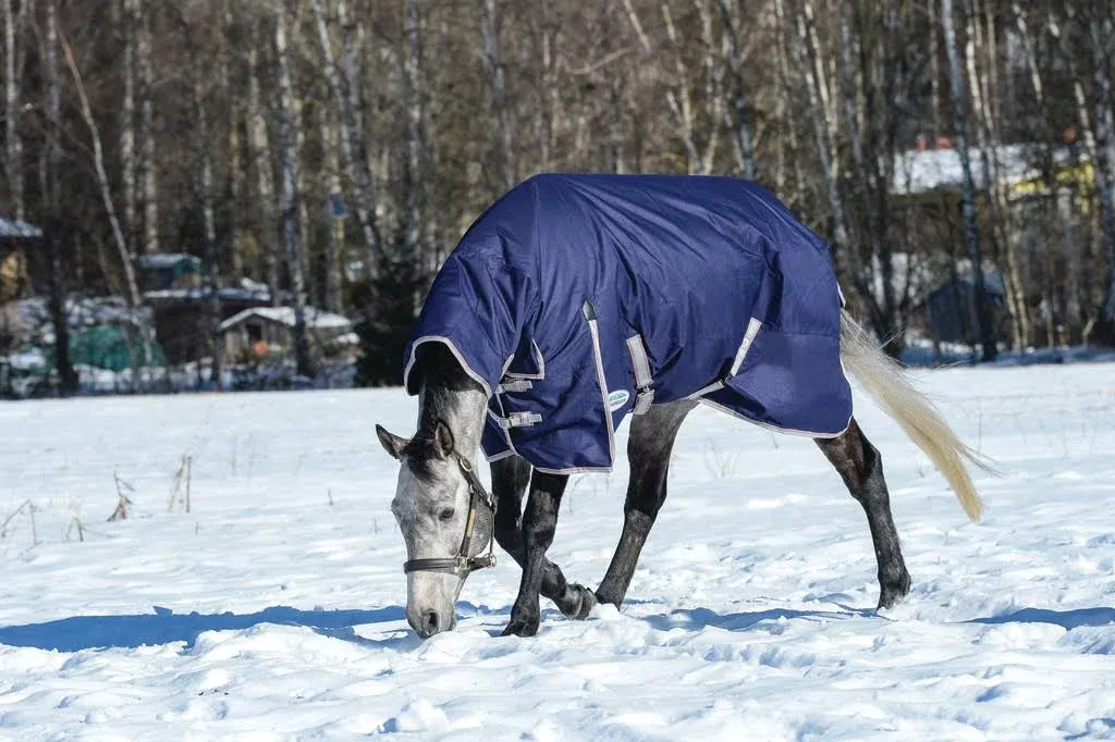 Weatherbeeta ComFiTec Essential Combo Neck Heavy Blanket