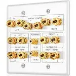 TNP Subwoofer and Speaker Wall Plate - 7.2 Surround Sound, Wall Speaker Connection Audio Wall Plate for AV RCA Connectors and Home Theater Banana Plu