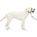 PetSafe Gentle Leader Headcollar Large / Red