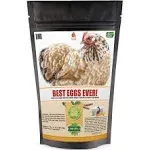 Pampered Chicken Mama Best Eggs Ever! Nesting Herbs for Pet Chickens, 4 lb.