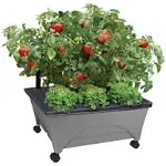 Emsco City Picker Raised-Bed Grow Box