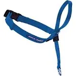 PetSafe Gentle Leader #1 HeadCollar Royal Blue Med Size Dogs 25 - 60 Lbs (New)