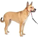 PetSafe Gentle Leader #1 Head Collar in Red for Med Size Dogs 25 - 60 Lbs (New)