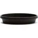 Bloem 20-in Terra Plastic Plant Saucer Tray - Black