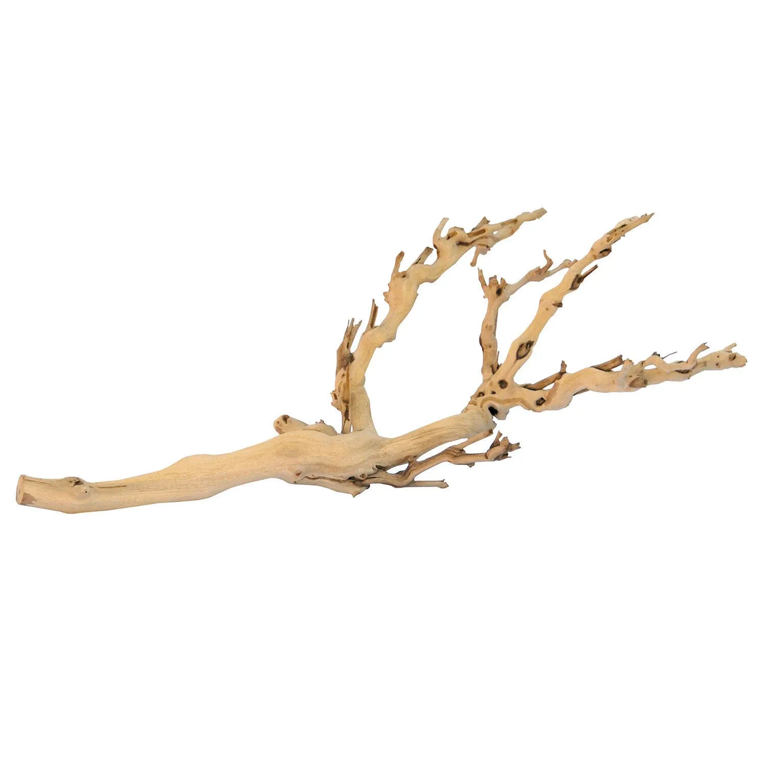 Exo Terra Forest Branch - Medium