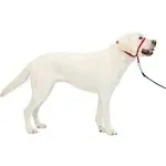 PetSafe Gentle Leader Headcollar Large / Red