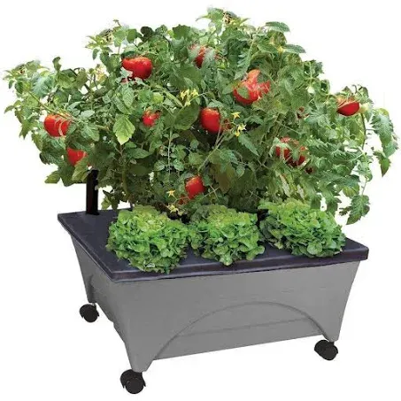 Emsco City Picker Raised-Bed Grow Box Slate