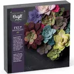 Craft Crush — Felt Succulents Craft Kit — Display Kit — Fun & Easy — Ages 13+