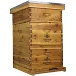 Hoover Hives: The Original Beeswax Coated Beehive Kit. Includes 2 Deep & 1 Medium Boxes with 10 Wooden Frames & Heavy Wax Coated Foundations. Easy