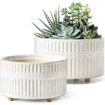 Succulent Pots, 6.5+8 Inch Ceramic Indoor Plant Pot with Drainage Hole, Modern r