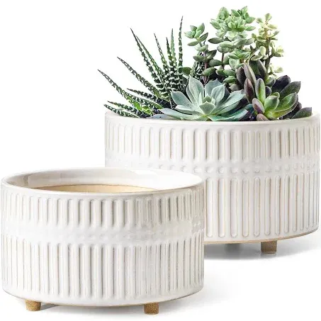 LE TAUCI Succulent Pots, 6.5+8 Inch Ceramic Indoor Plant Pot with Drainage Hole, Modern Round Decorative Flower Pot, Set of 2, Reactive Glaze White