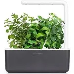 Click &amp; Grow Indoor Herbal Tea Gardening Kit | Smart Garden 3 with Grow Light