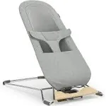 Mira 2-in-1 Bouncer & Seat