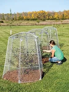 Gardener's Supply Company Chicken Wire Super Dome Plant Protector | Durable Weatherproof Low Carbon Steel Hinged Doors for Easy Access | 45" (Side to Side) 51.5" Height