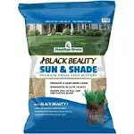 Jonathan Green Black Beauty Sun & Shade Outdoor Lawn Grass Seed