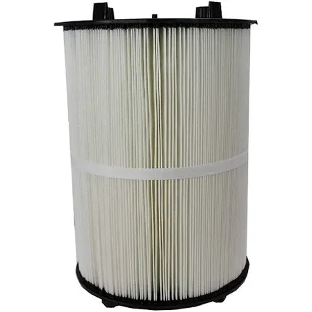 Pentair Filter Replacement Cartridge, 100 sq. ft.