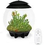 biOrb AIR 30 Terrarium