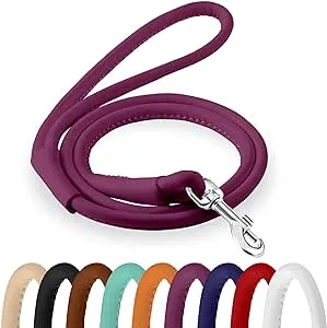 CollarDirect Rolled Leather Dog Leash 6ft, Soft Training Leather Dog Leash for Puppy and Grown Dog Small Medium Large Black Blue Red Orange Green Pink White (Pink, Size XS 6ft)