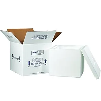 Boxes Fast BF230C Insulated Shipping Box with Foam Container, 12" x 12" x 11 1/2", Medium, White