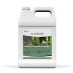 Aquascape - Algaecide - 1 Gal