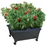 24-in W x 20-in L x 11-in H Charcoal Raised Garden Bed