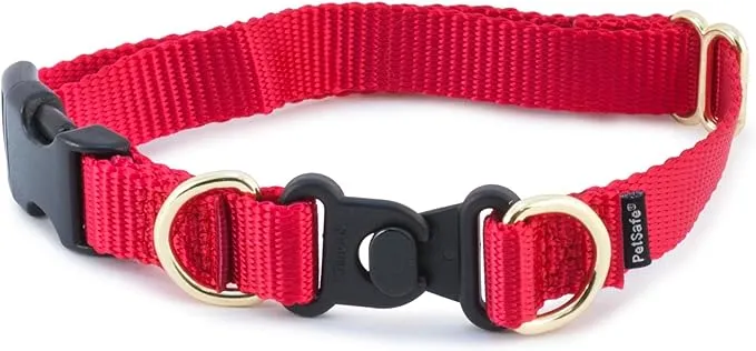 PetSafe KeepSafe Break-Away Collar, 1-Inch Medium, Red